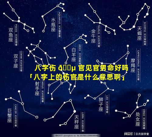 八字伤 🌵 官见官男命好吗「八字上的伤官是什么意思啊」